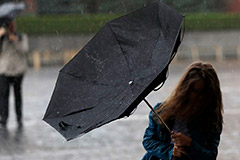 Москвичей предупредили об усилении ветра с порывами до 17 м/с Москвичей предупредили об усилении ветра с порывами до 17 м/с