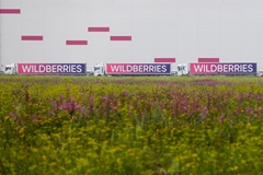 �� ������ Wildberries � �������� ���������� 25 �������
