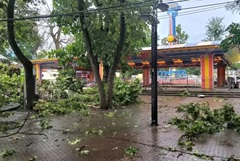 ����� �� ������ � �������� ������ ���������� ������� ��-�� ��������