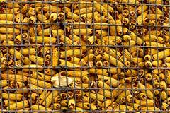 Цены на кукурузу и пшеницу на Чикагской бирже обновили трехлетние максимумы Цены на кукурузу и пшеницу на Чикагской бирже обновили трехлетние максимумы