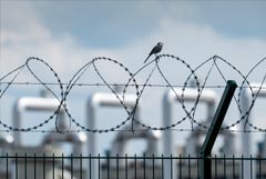 Запасы газа в подземных хранилищах Европы заполнены на 65,09% Запасы газа в подземных хранилищах Европы заполнены на 65,09%