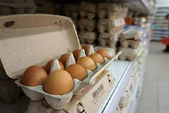 Минсельхоз объяснил подорожание яиц выравниванием цен после долгого снижения Минсельхоз объяснил подорожание яиц выравниванием цен после долгого снижения