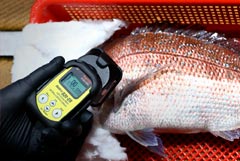 Уровень радионуклидов в Японском море остается в норме после сбросов с АЭС "Фукусима-1" Уровень радионуклидов в Японском море остается в норме после сбросов с АЭС "Фукусима-1"