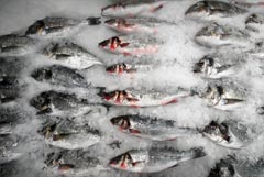 Экспорт продукции АПК РФ в КНР к середине октября превысил показатель за весь 2025 г. Экспорт продукции АПК РФ в КНР к середине октября превысил показатель за весь 2025 г.