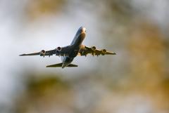 ������������ ������ AirBridgeCargo ����� �������� ������ � ������ ��������������
