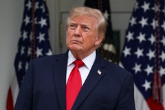 Трамп заверил, что не будет вмешиваться в ситуацию с Болсонару Трамп заверил, что не будет вмешиваться в ситуацию с Болсонару